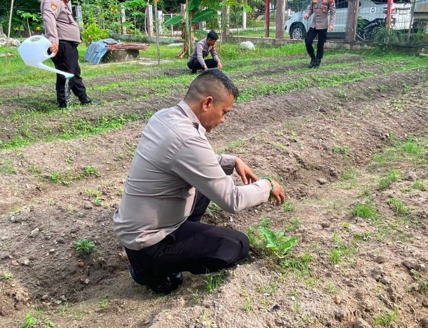 Ketahanan Pangan Dimulai dari Pekarangan Lestari