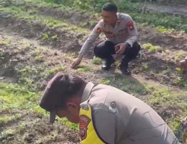 Kebun P2L Polsek Dabo Singkep Jadi Langkah Konkret Mendukung Program Pangan Nasional