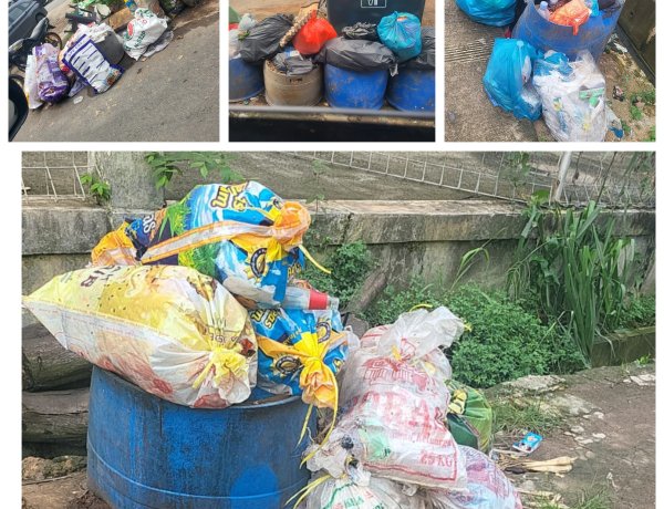 Sampah Menumpuk Berbulan-bulan, Warga Botania Garden Kecam Kinerja DLH Batam