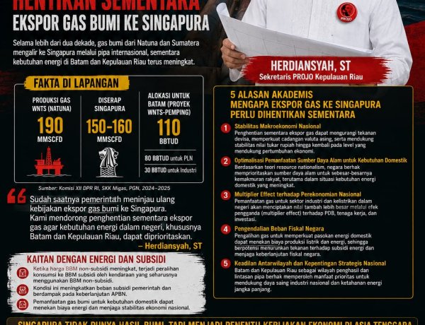 Gas Natuna Mengalir ke Negeri Tetangga, Projo Kepri Pertanyakan Komitmen untuk Batam