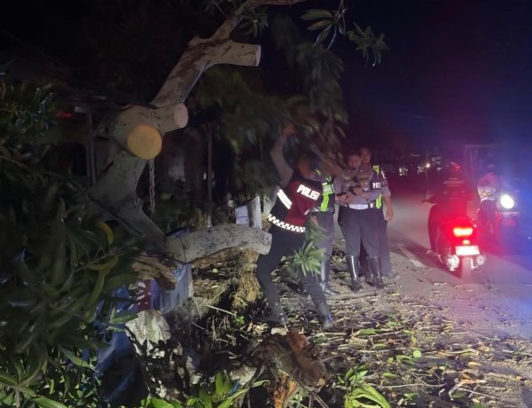 Patroli Siaga Bencana Samapta Polres Karimun, Pohon Tumbang di Bukit Sidomulyo Berhasil Ditangani
