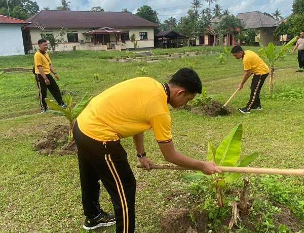 Polsek Dabo Singkep Rawat Kebun Pisang untuk Dukung Ketahanan Pangan