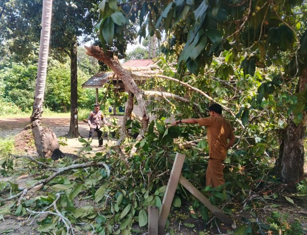 Respons Cepat Polsek Daik Lingga, Pohon Tumbang di Selayar Langsung Dievakuasi