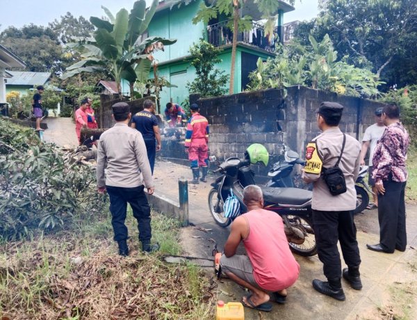 Polsek Dabo Singkep Respon Laporan Warga Terkait Pohon Tumbang