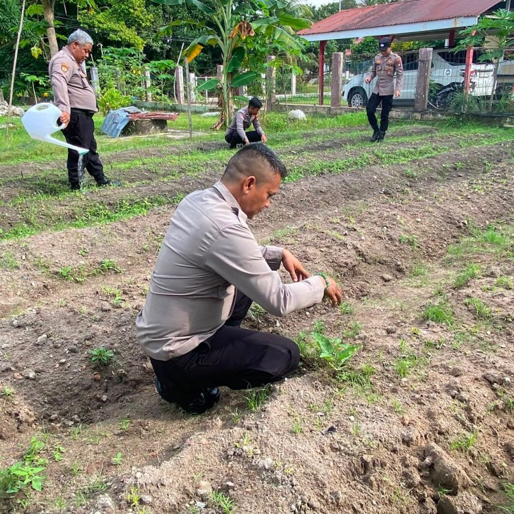 Ketahanan Pangan Dimulai dari Pekarangan Lestari