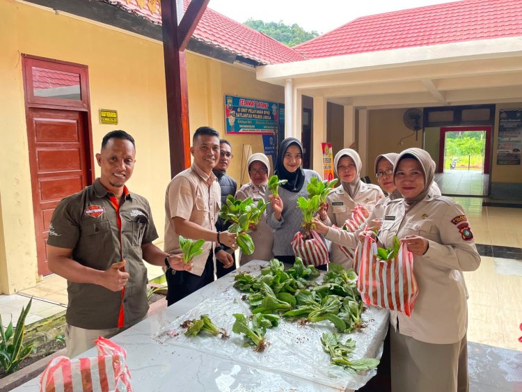Panen Pakcoy Perdana, Polres Lingga Dorong Kemandirian Pangan