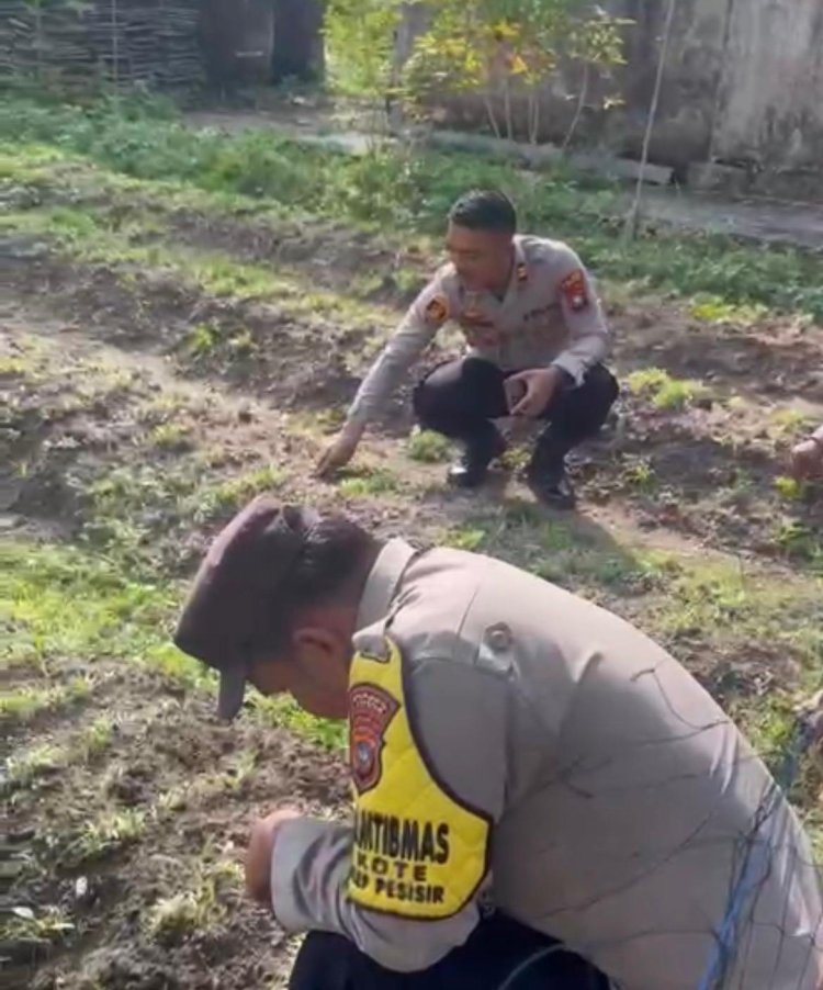Kebun P2L Polsek Dabo Singkep Jadi Langkah Konkret Mendukung Program Pangan Nasional