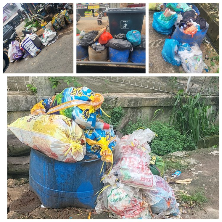 Sampah Menumpuk Berbulan-bulan, Warga Botania Garden Kecam Kinerja DLH Batam
