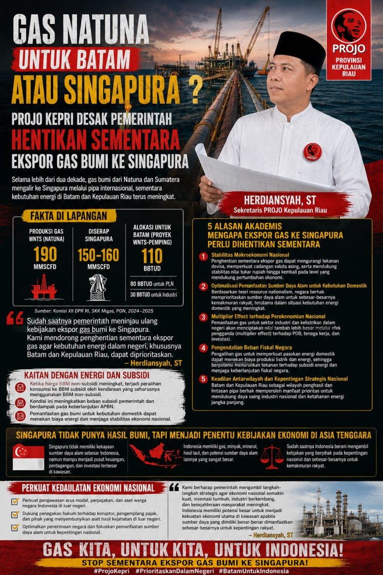 Gas Natuna Mengalir ke Negeri Tetangga, Projo Kepri Pertanyakan Komitmen untuk Batam