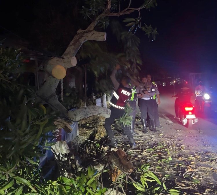 Patroli Siaga Bencana Samapta Polres Karimun, Pohon Tumbang di Bukit Sidomulyo Berhasil Ditangani