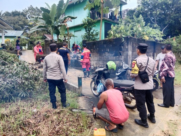 Polsek Dabo Singkep Respon Laporan Warga Terkait Pohon Tumbang