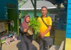 Polsek Dabo Singkep Panen Kangkung, Wujud Nyata Dukungan Polri terhadap Ketahanan Pangan dan Kepedulian Sosial