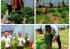 Panen Raya Kangkung di Lapas Batam, WBP Dibekali Keterampilan Agribisnis dan Dukung Dapur Sehat