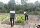 Perawatan Rutin Kebun Sat Samapta, Wujud Nyata Polri Dukung Swasembada Pangan