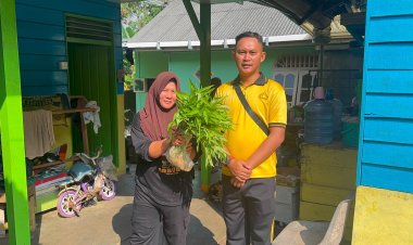 Polsek Dabo Singkep Panen Kangkung, Wujud Nyata Dukungan Polri terhadap Ketahanan Pangan dan Kepedulian Sosial