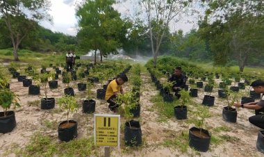 Personel Polres Lingga Rawat Lahan Ketahanan Pangan, Wujud Nyata Dukung Swasembada Pangan Nasional