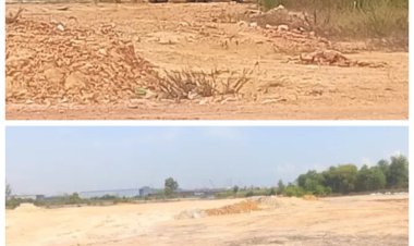 Penimbunan Mangrove di Kawasan Marina City Diduga Tanpa Izin, Masyarakat Desak Aparat Segera Bertindak