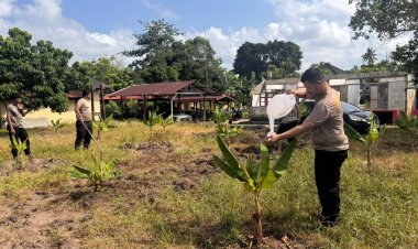 Polsek Dabo Singkep Tingkatkan Perawatan Tanaman Pisang untuk Hasil Panen Optimal