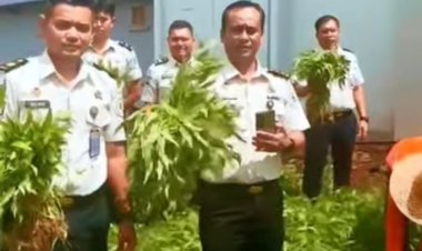 Panen Raya Kangkung di Lapas Batam, WBP Dibekali Keterampilan Agribisnis dan Dukung Dapur Sehat