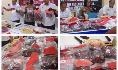 Ditresnarkoba Polda Kepri Ungkap 16 Kasus Narkoba, 17 Tersangka Ditangkap dan Lebih dari 4 Kilogram Sabu Disita