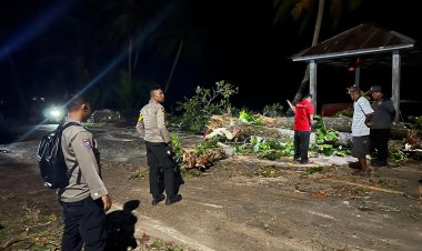 Respons Cepat Polsek Dabo Singkep Tangani Pohon Tumbang Akibat Cuaca Ekstrem di Desa Lanjut