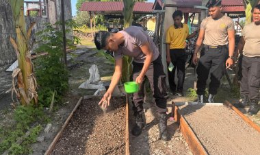Manfaatkan Pekarangan Pangan Lestari, Polsek Dabo Singkep Mulai Budidaya Sayur Sawi