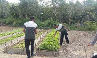 Perawatan Rutin Kebun Sat Samapta, Wujud Nyata Polri Dukung Swasembada Pangan