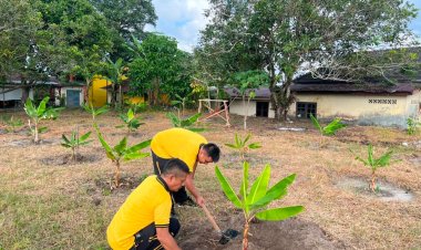 Polsek Dabo Singkep Optimalkan Pekarangan Pangan Lestari, Dukung Ketahanan Pangan Nasional