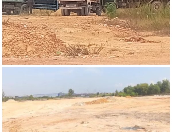 Penimbunan Mangrove di Kawasan Marina City Diduga Tanpa Izin, Masyarakat Desak Aparat Segera Bertindak