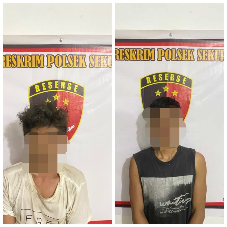 Dua Terduga Pelaku Pencurian Alat Kerja di Sekupang Ditangkap, Satu Orang Masuk DPO