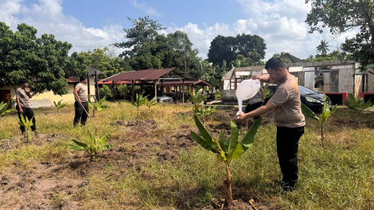 Polsek Dabo Singkep Tingkatkan Perawatan Tanaman Pisang untuk Hasil Panen Optimal