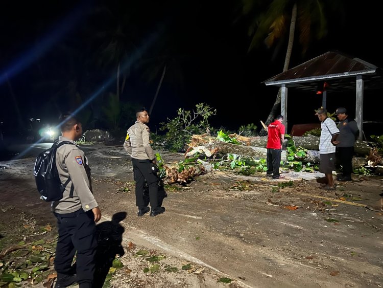 Respons Cepat Polsek Dabo Singkep Tangani Pohon Tumbang Akibat Cuaca Ekstrem di Desa Lanjut