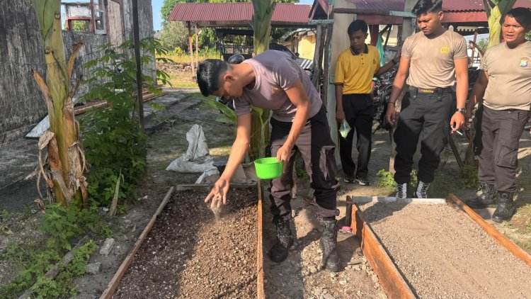 Manfaatkan Pekarangan Pangan Lestari, Polsek Dabo Singkep Mulai Budidaya Sayur Sawi