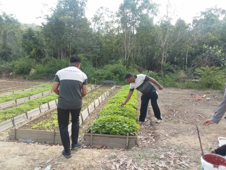 Perawatan Rutin Kebun Sat Samapta, Wujud Nyata Polri Dukung Swasembada Pangan