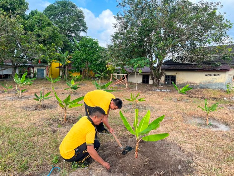 Polsek Dabo Singkep Optimalkan Pekarangan Pangan Lestari, Dukung Ketahanan Pangan Nasional