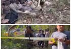 Geger! Warga Temukan Tulang-belulang Manusia di Hutan Sungai Ladi Batam