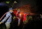 8 Hektare Lahan di Tanjung Irat Lingga Terbakar, TNI AL dan Tim Gabungan Bergerak Cepat