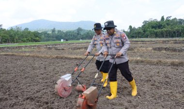 Polres Lingga Dorong Produktivitas Pertanian melalui Penanaman Jagung Pipil di Lahan 3,5 Hektare