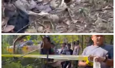 Geger! Warga Temukan Tulang-belulang Manusia di Hutan Sungai Ladi Batam