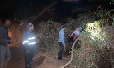 Kebakaran Lahan Eks PT Bintan Bumi Persada di Singkep Barat Hanguskan Sekitar 4 Hektare