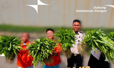 Panen 150 Kilogram Kangkung dan Sawi, Rutan Dorong Kemandirian Warga Binaan