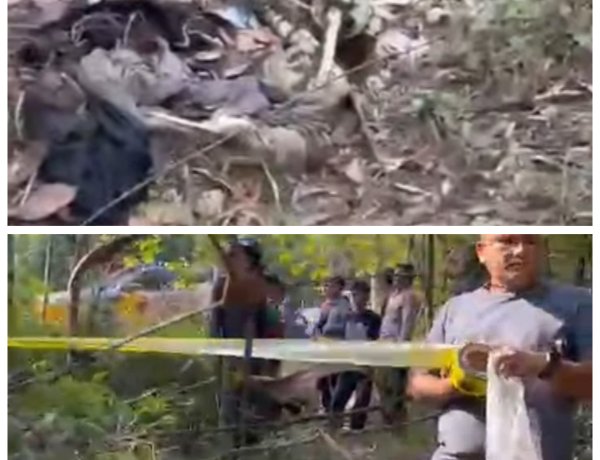 Geger! Warga Temukan Tulang-belulang Manusia di Hutan Sungai Ladi Batam