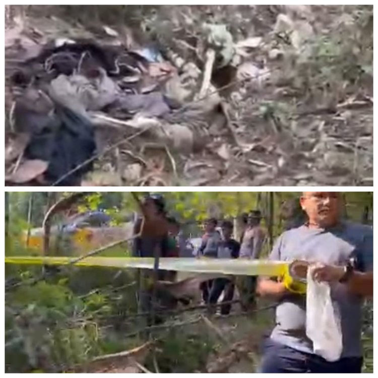 Geger! Warga Temukan Tulang-belulang Manusia di Hutan Sungai Ladi Batam