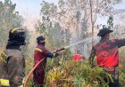 Pantang Menyerah Padamkan Karhutla, Tim Gabungan Berjibaku hingga Malam di Sungai Besar Kec. Lingga Utara