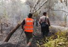 Kebakaran Lahan 9 Hektare di Marok Tua Lingga Dipadamkan Tim Gabungan