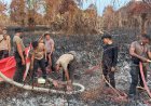 HARI KE-15, Personel Polsek Daik Bersama,Personel Brimobda Polda Kepri dan Tim Gabungan Terus Berjibaku Padamkan Karhutla Di Resun Pesisir