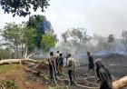 Kebakaran Lahan di Marok Tua, Polsek Singkep Barat Lakukan Pemantauan dan Penanganan