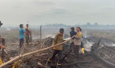 Hari Ketujuh, Karhutla di Kudung Lingga Belum Padam Total, Tim Gabungan Perluas Upaya Pemadaman