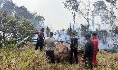 Dirreskrimsus Polda Kepri Turun Langsung Cek Titik Api di Tanjung Irat, Tim Gunakan Drone