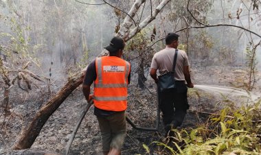 Kebakaran Lahan 9 Hektare di Marok Tua Lingga Dipadamkan Tim Gabungan